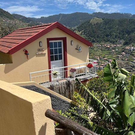 Vila Tropical House Ribeira Brava Exteriér fotografie
