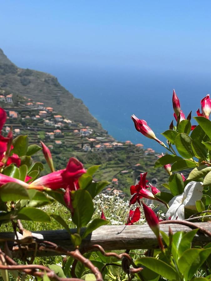 Vila Tropical House Ribeira Brava Exteriér fotografie