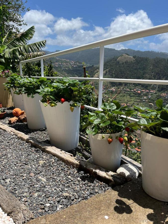 Vila Tropical House Ribeira Brava Exteriér fotografie