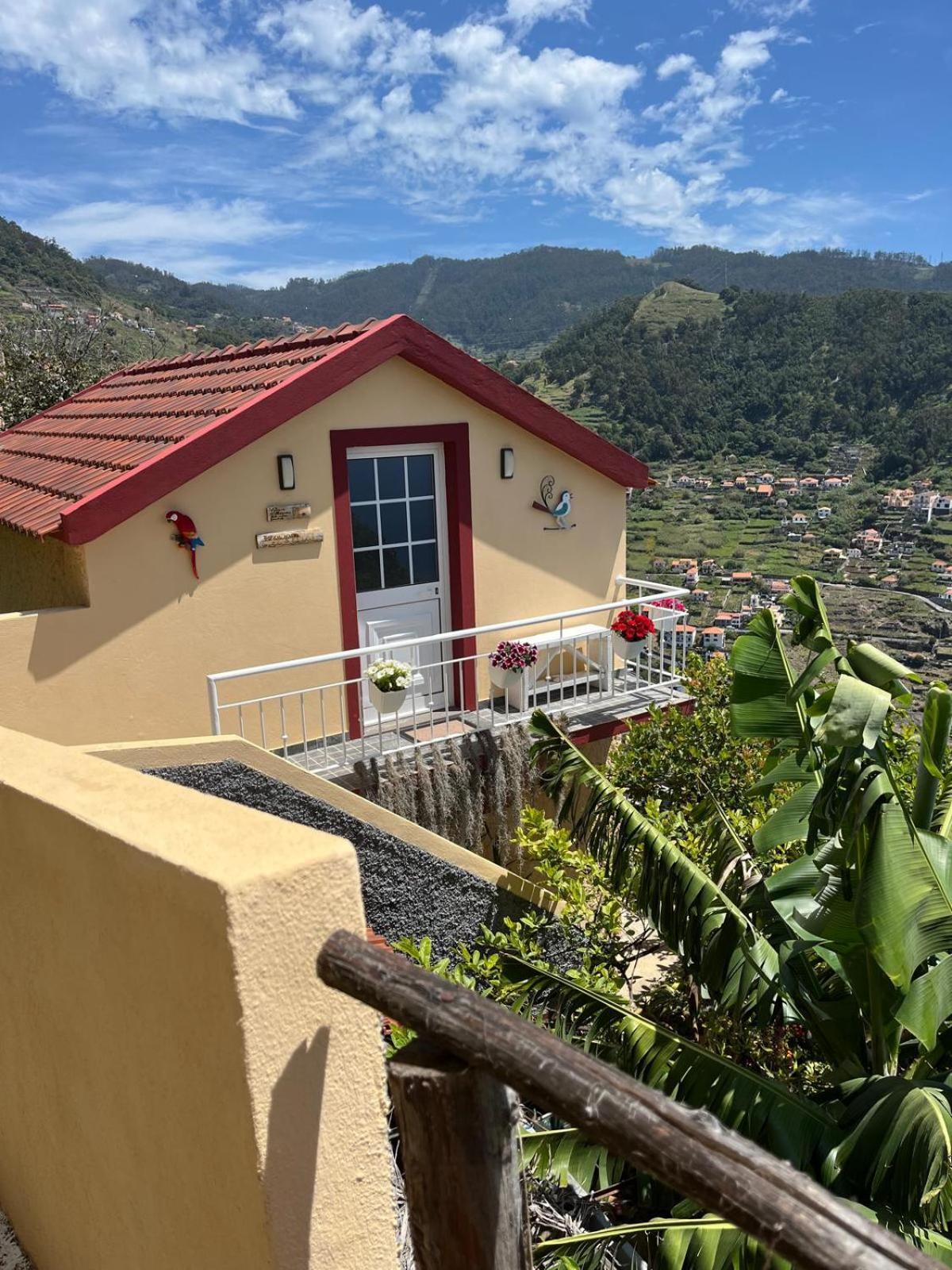 Vila Tropical House Ribeira Brava Exteriér fotografie