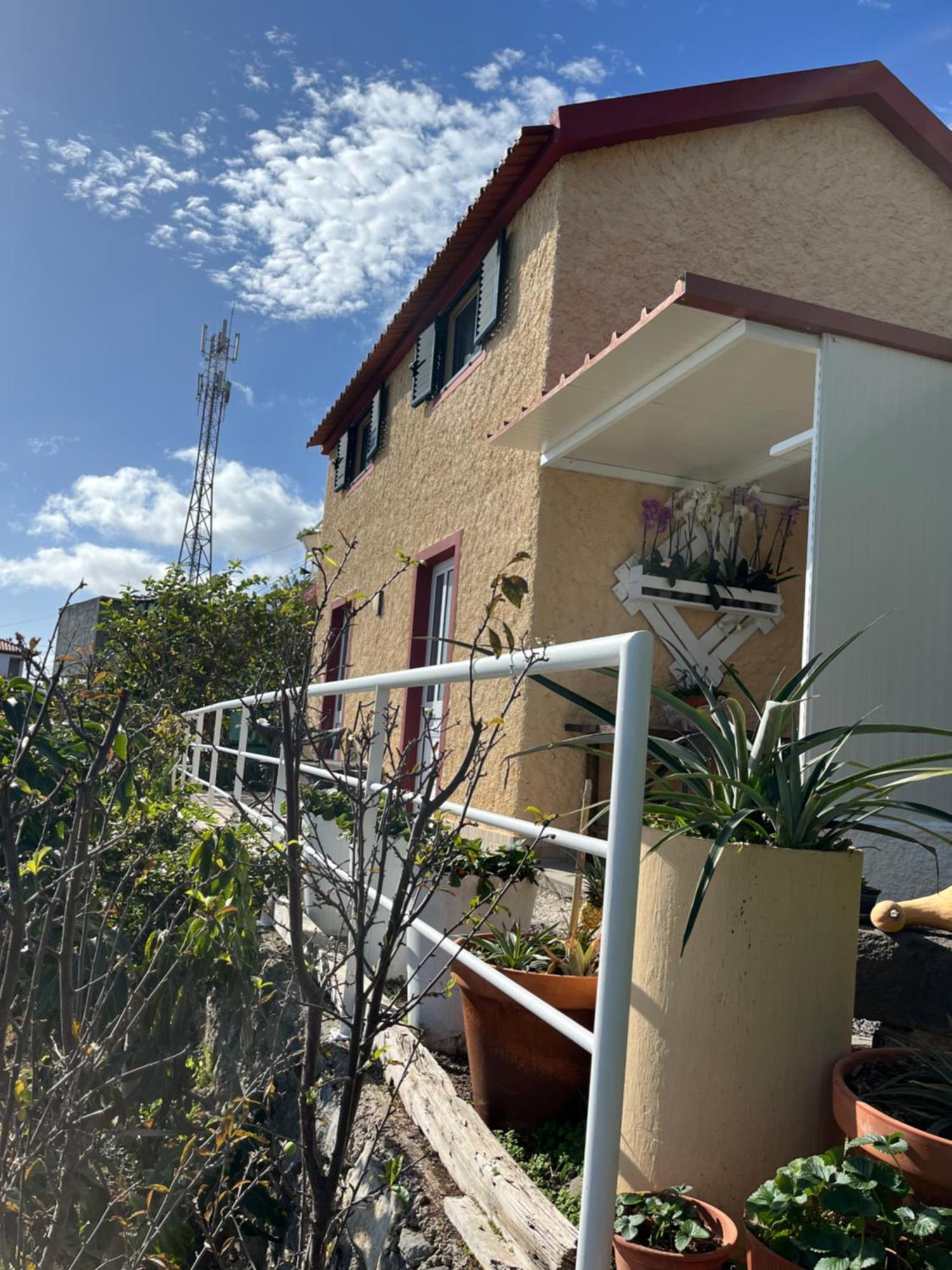 Vila Tropical House Ribeira Brava Exteriér fotografie