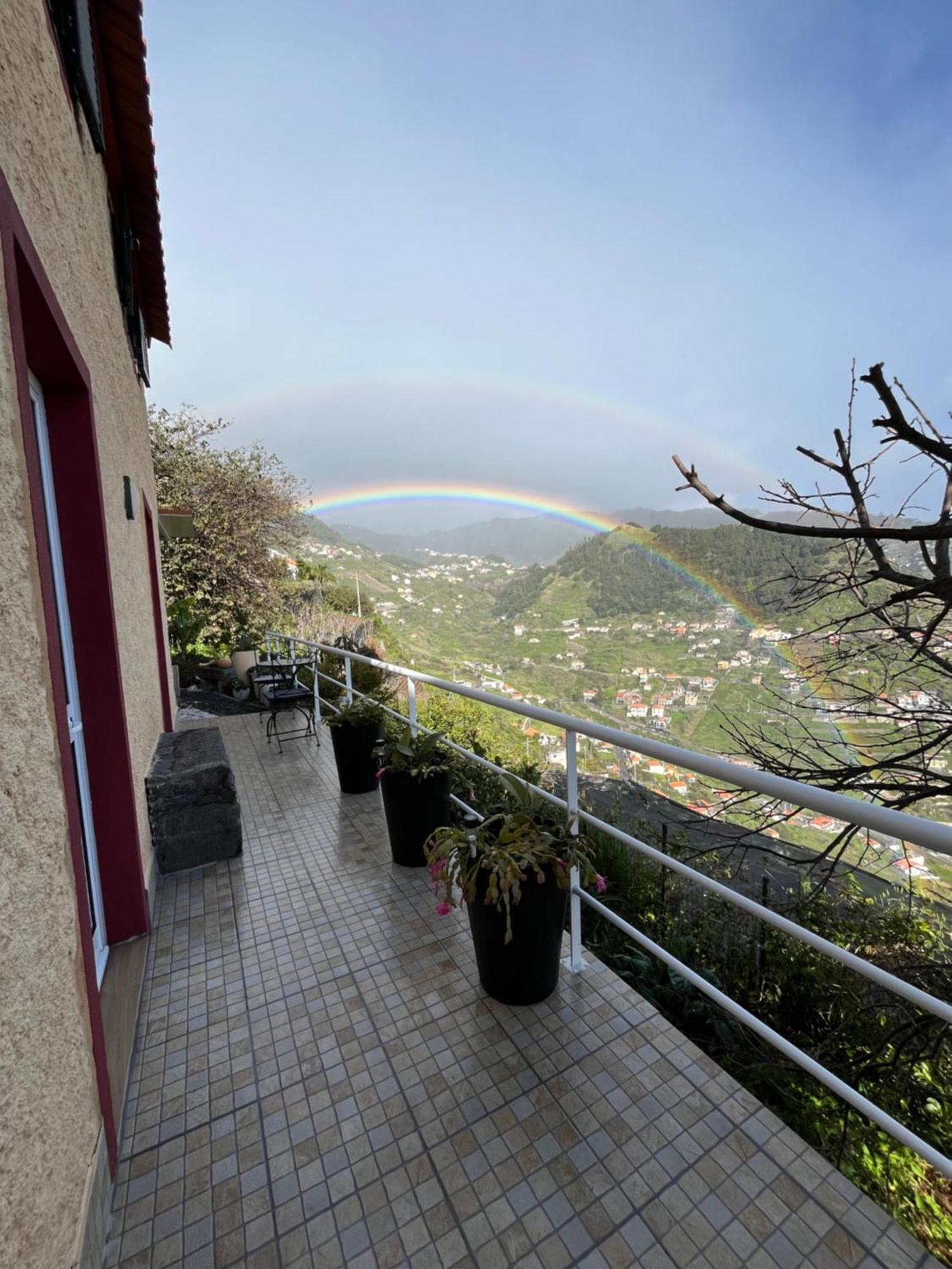 Vila Tropical House Ribeira Brava Exteriér fotografie